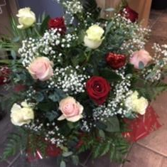 Trio rose dozen 