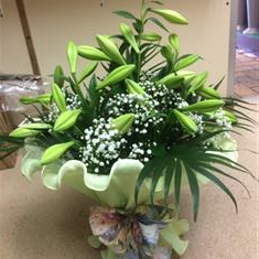 Lily explosion