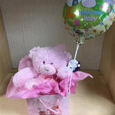 Baby girl teddy &amp;balloon 