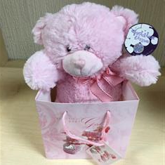 Baby girl teddy