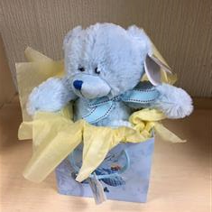 Baby boy teddy