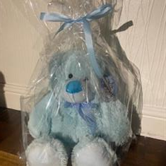 Blue teddy gift