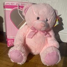 Pink teddy gift