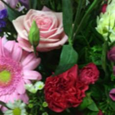 Florist Choice Aqua Pink and Red
