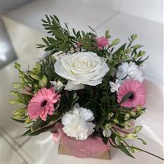 Petite box pink snd cream 