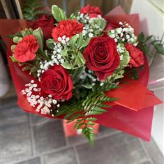 Carosa red 