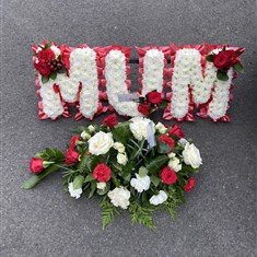 Mum and teardrop combo